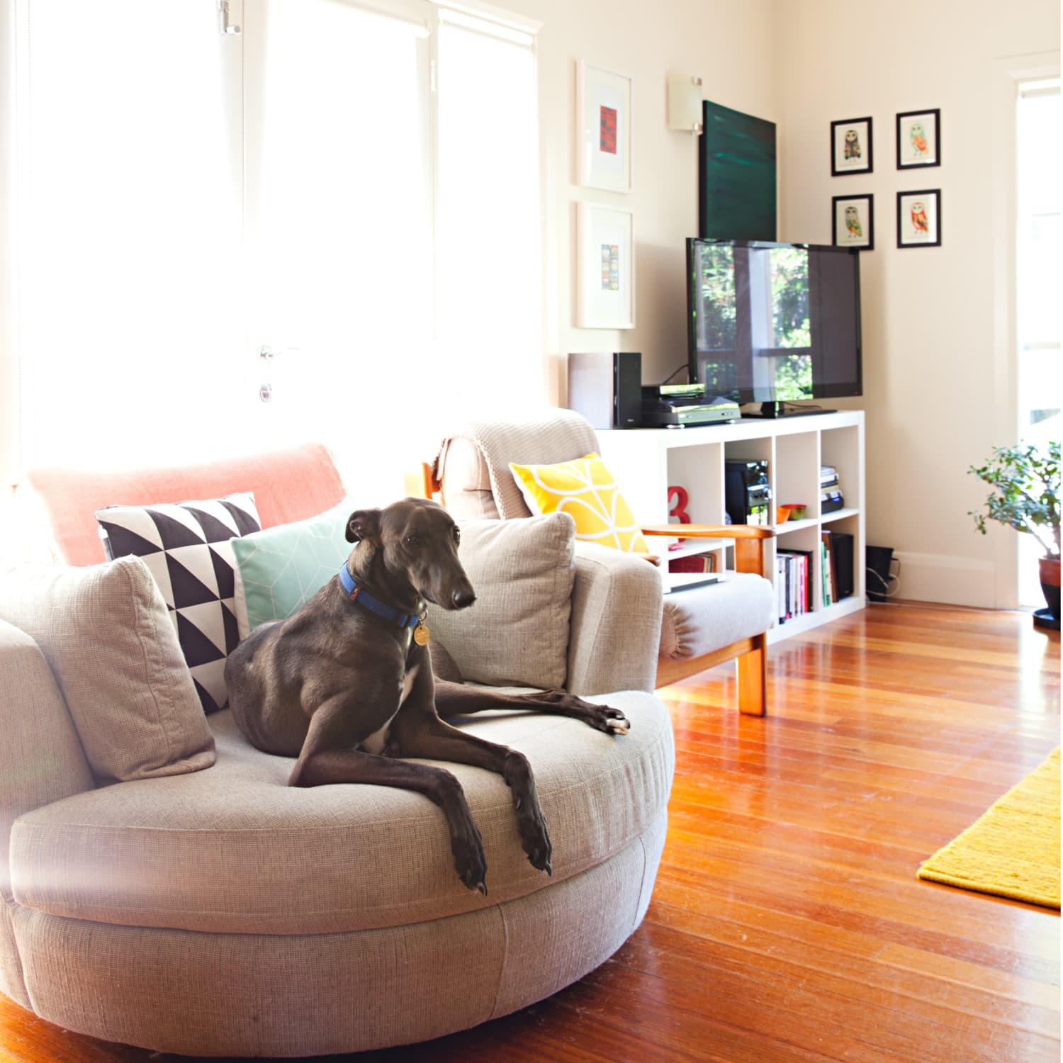 Wowgo cordless vacuum review online